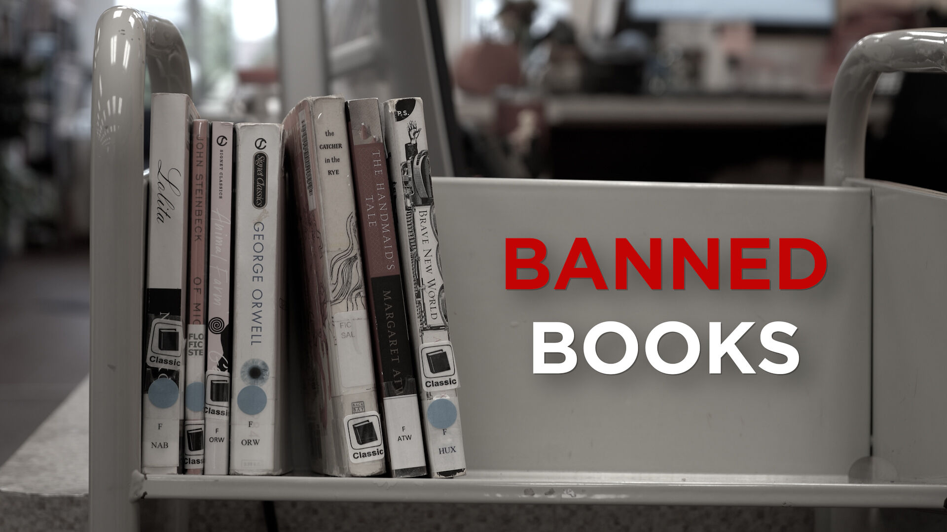 'Freedom to Read Act' becomes law in Delaware